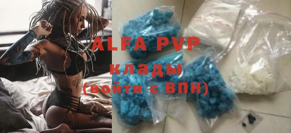 прущие грибы Саяногорск