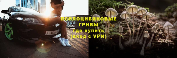 прущие грибы Баксан
