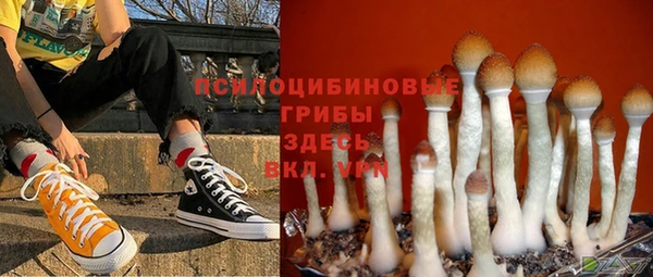 apvp Арсеньев
