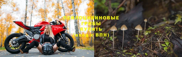 прущие грибы Баксан
