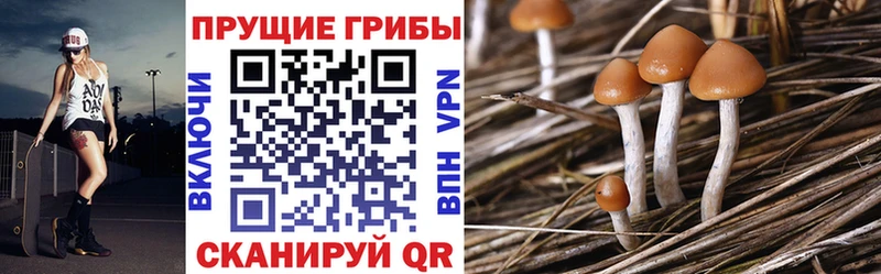 Галлюциногенные грибы GOLDEN TEACHER  Мичуринск 