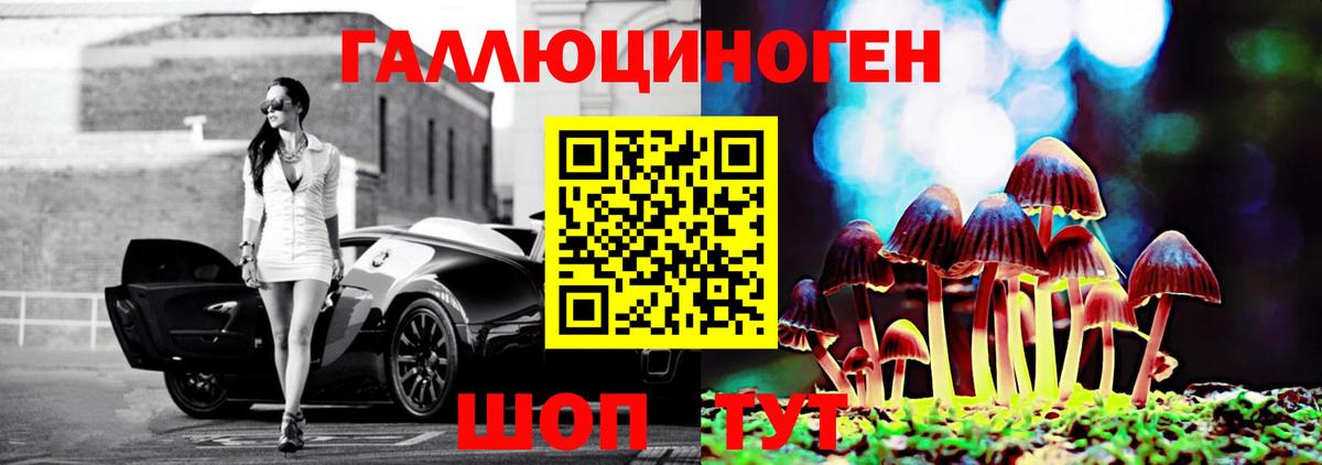 Псилоцибиновые грибы GOLDEN TEACHER  Псилоцибиновые грибы Psilocybe  Мичуринск  Вход с VPN 